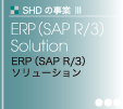 ERP(SAP R/3)ソリューション