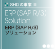 ERP(SAP R/3)\[V